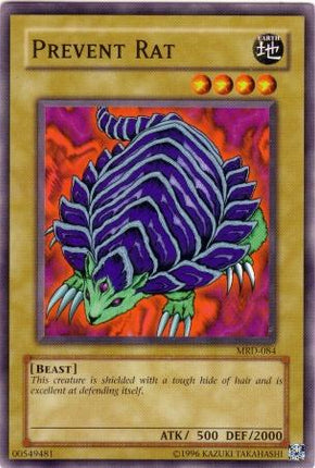 Prevent Rat