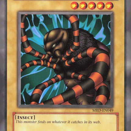 Hunter Spider