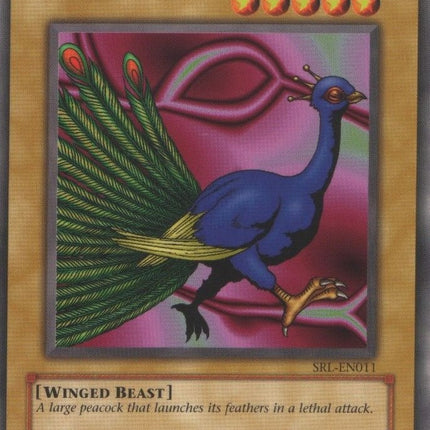 Peacock