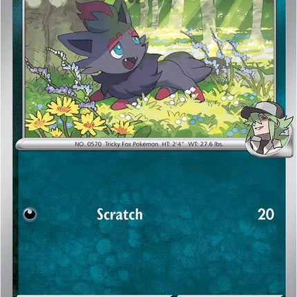 N's Zorua