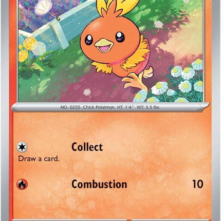 Torchic