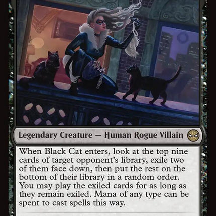 Black Cat, Cunning Thief
