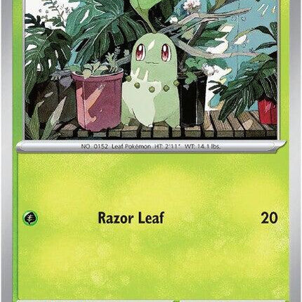 Chikorita
