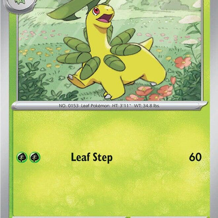 Bayleef
