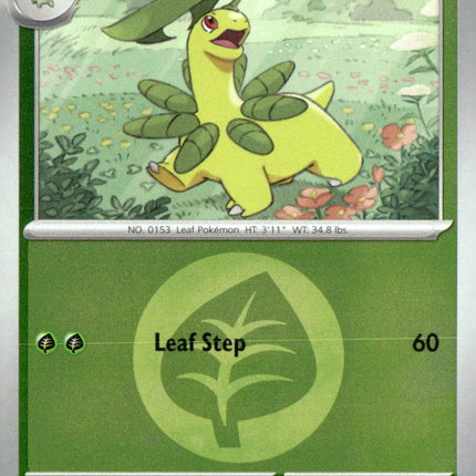 Bayleef (Energy Symbol Pattern)