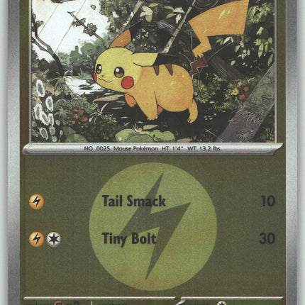 Pikachu (Energy Symbol Pattern)