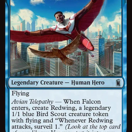 Falcon, Winged Wonder