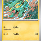 Near Mint / English / Normal