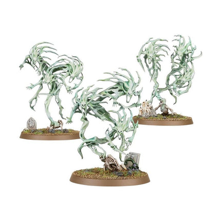 Warhammer Age of Sigmar: Nighthaunt Spirit Hosts