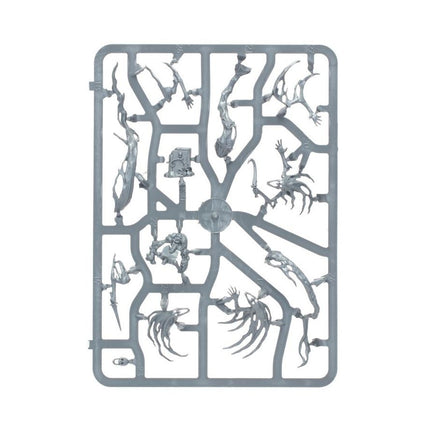 Warhammer Age of Sigmar: Nighthaunt Spirit Hosts